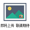 TCU控溫循環(huán)磁力泵