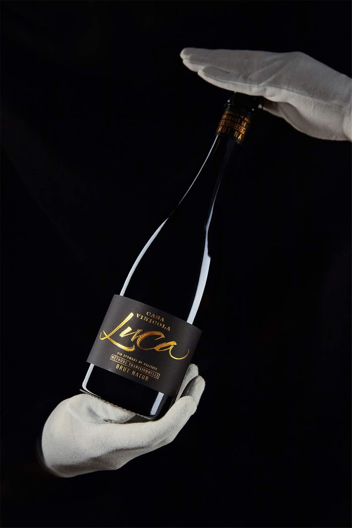 紅酒包裝設(shè)計參考(圖12)