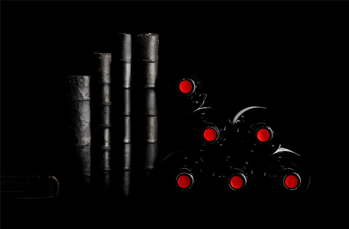 寧夏紅酒包裝設(shè)計(jì)公司推薦參考案例(圖16)