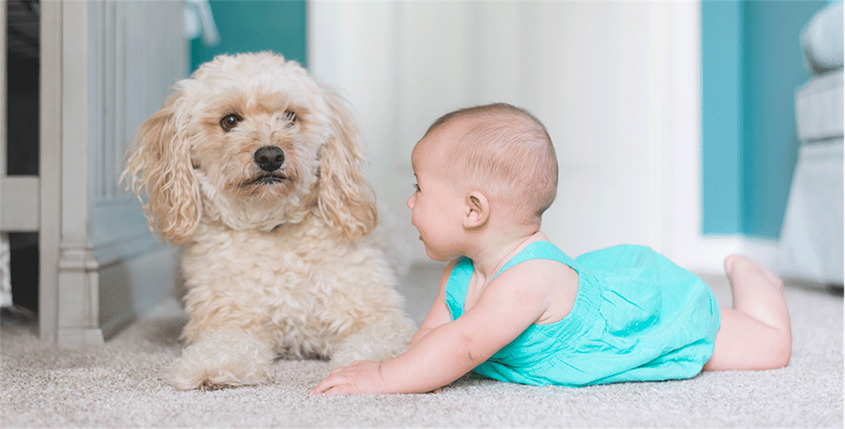 嬰兒產(chǎn)品包裝設(shè)計參考(圖2)