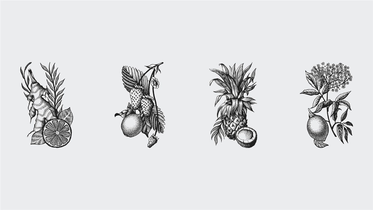 冷煮咖啡飲料包裝設(shè)計(jì)(圖1)