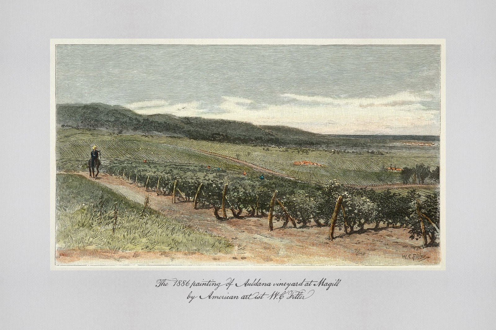 高端的葡萄酒包裝設(shè)計(jì)圖片欣賞(圖3)