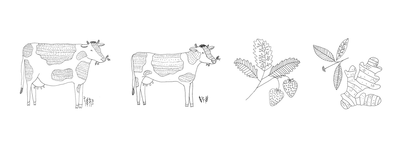 杭州酸奶品牌包裝設(shè)計參考(圖5)