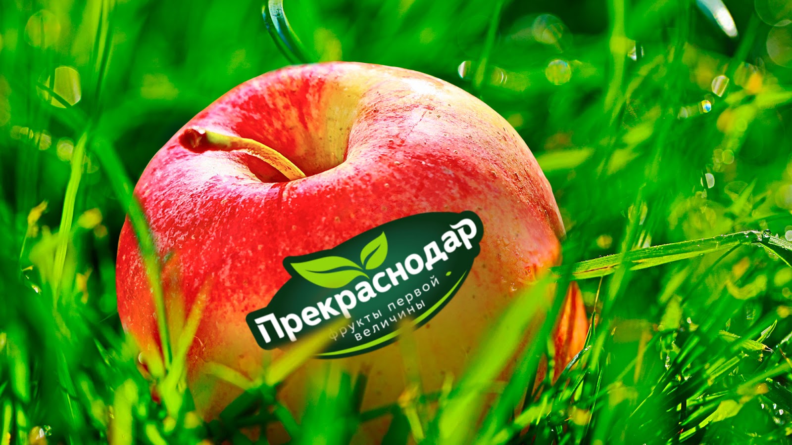 青島產(chǎn)品包裝設(shè)計(jì)(圖4)