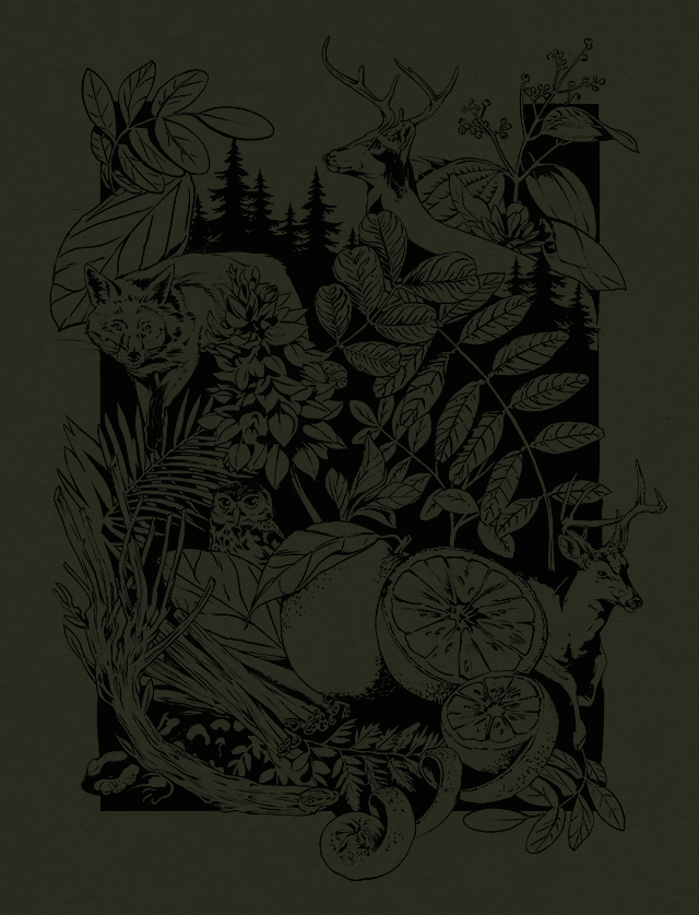 寧波酒包裝設(shè)計(圖4)