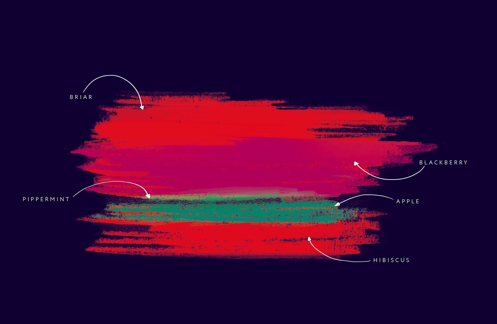 香草茶包裝設(shè)計(jì)(圖5)