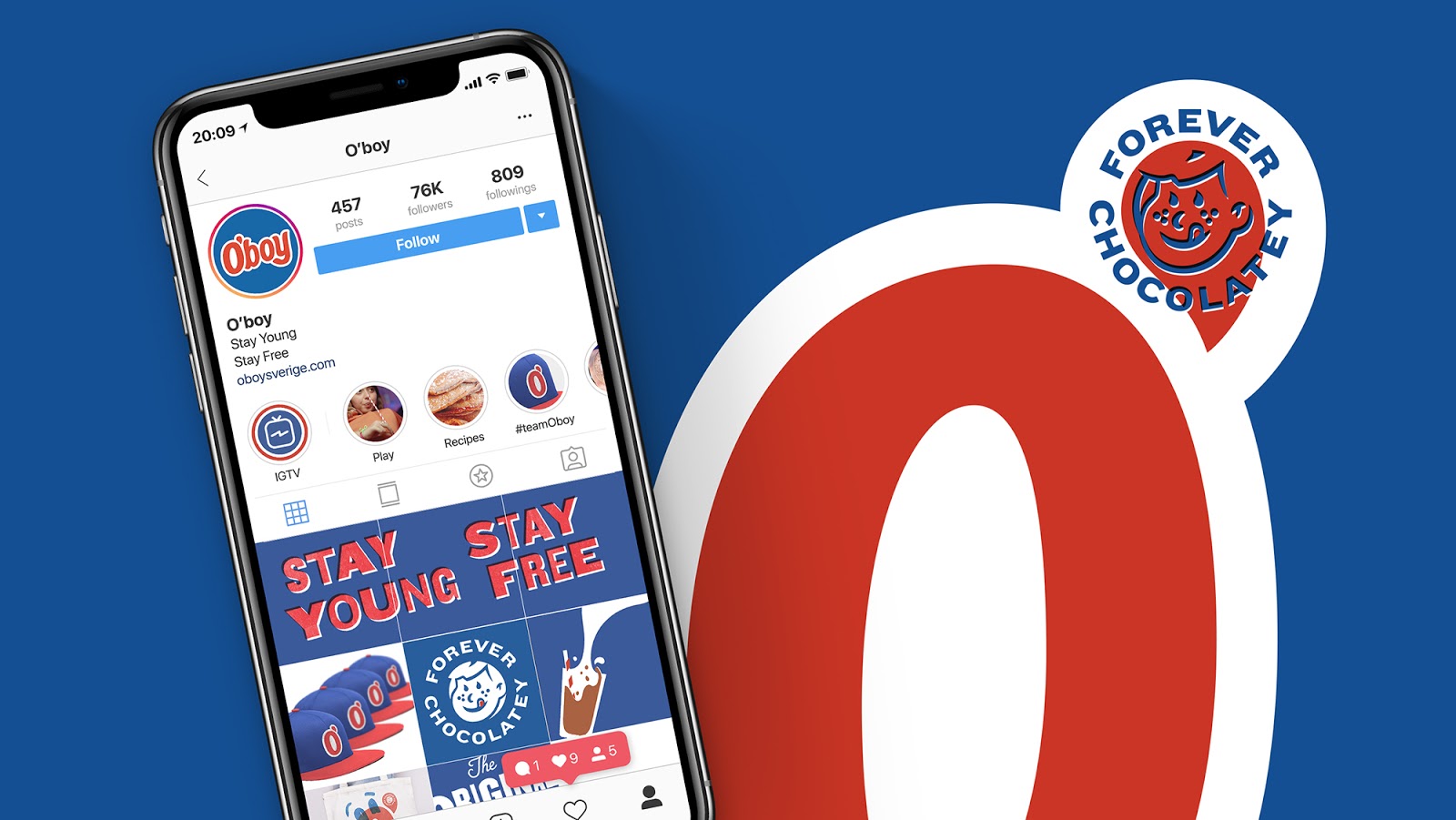 沖調(diào)產(chǎn)品飲料包裝設(shè)計(jì)(圖6)