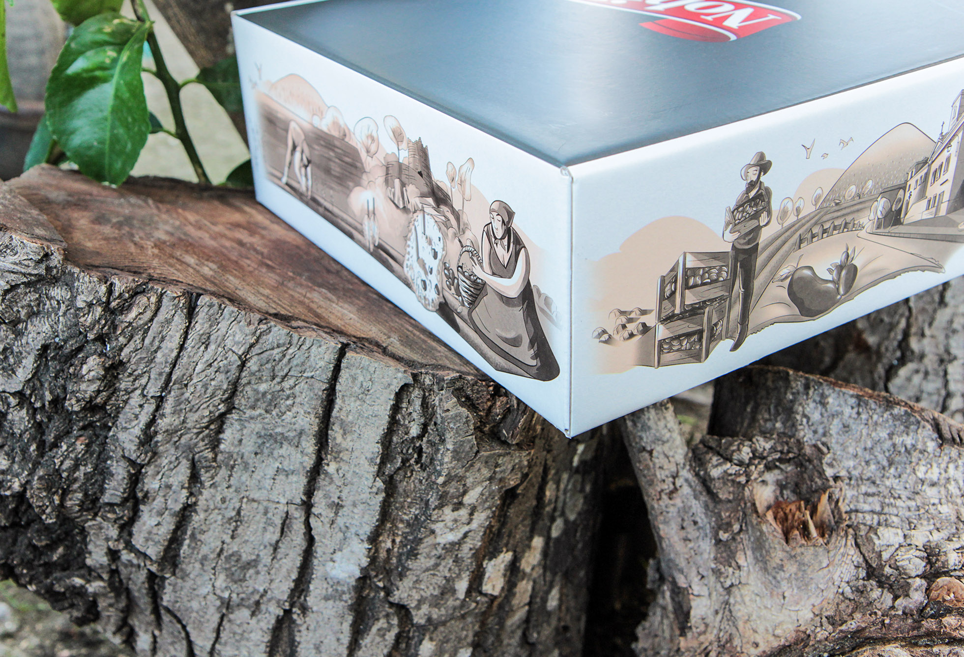 罐頭蜜餞食品包裝設(shè)計(jì)(圖5)