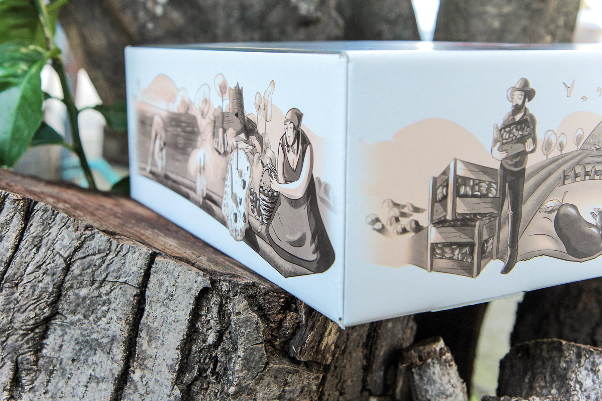 罐頭蜜餞食品包裝設(shè)計(jì)(圖7)