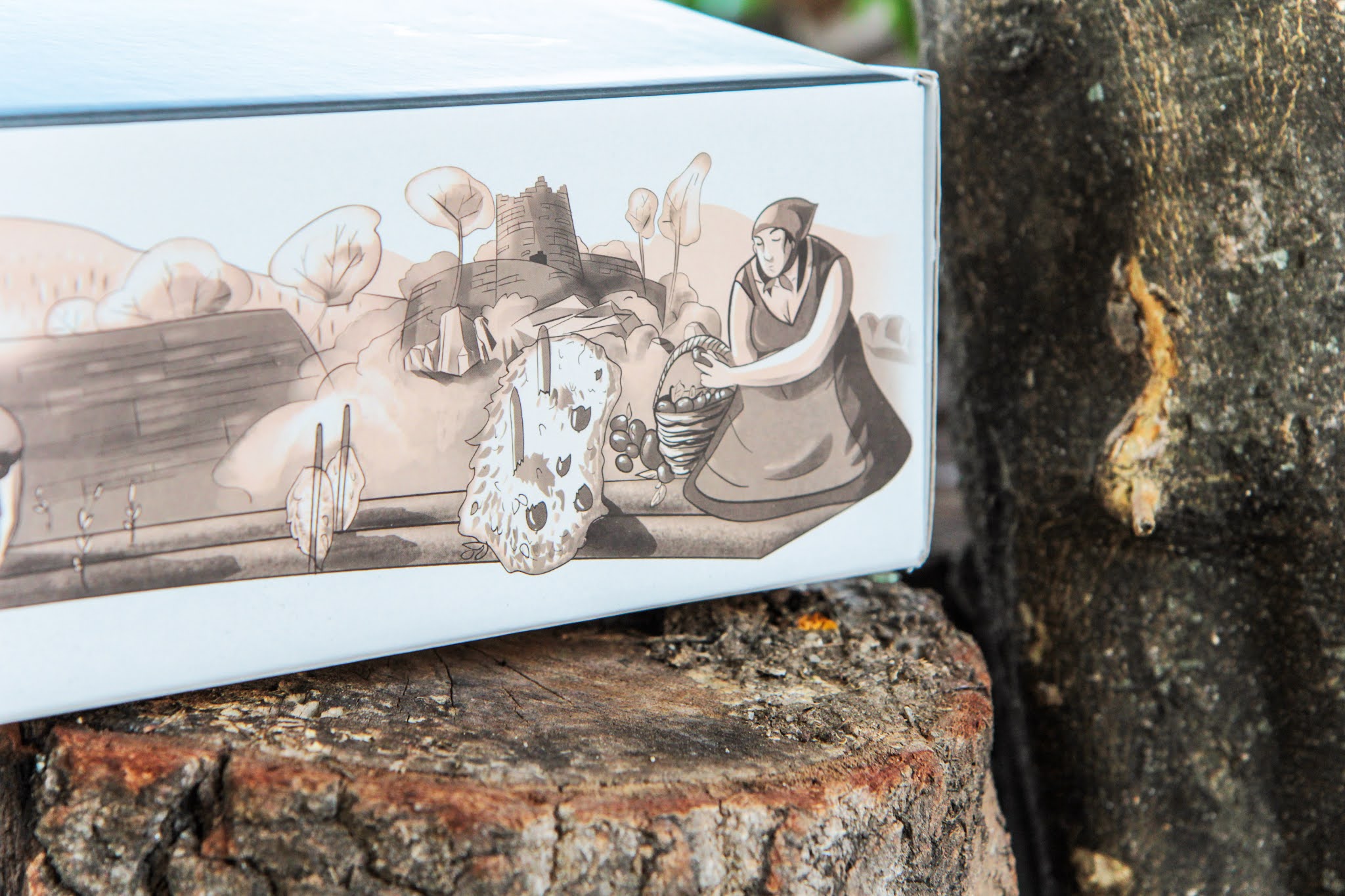 罐頭蜜餞食品包裝設(shè)計(jì)(圖8)