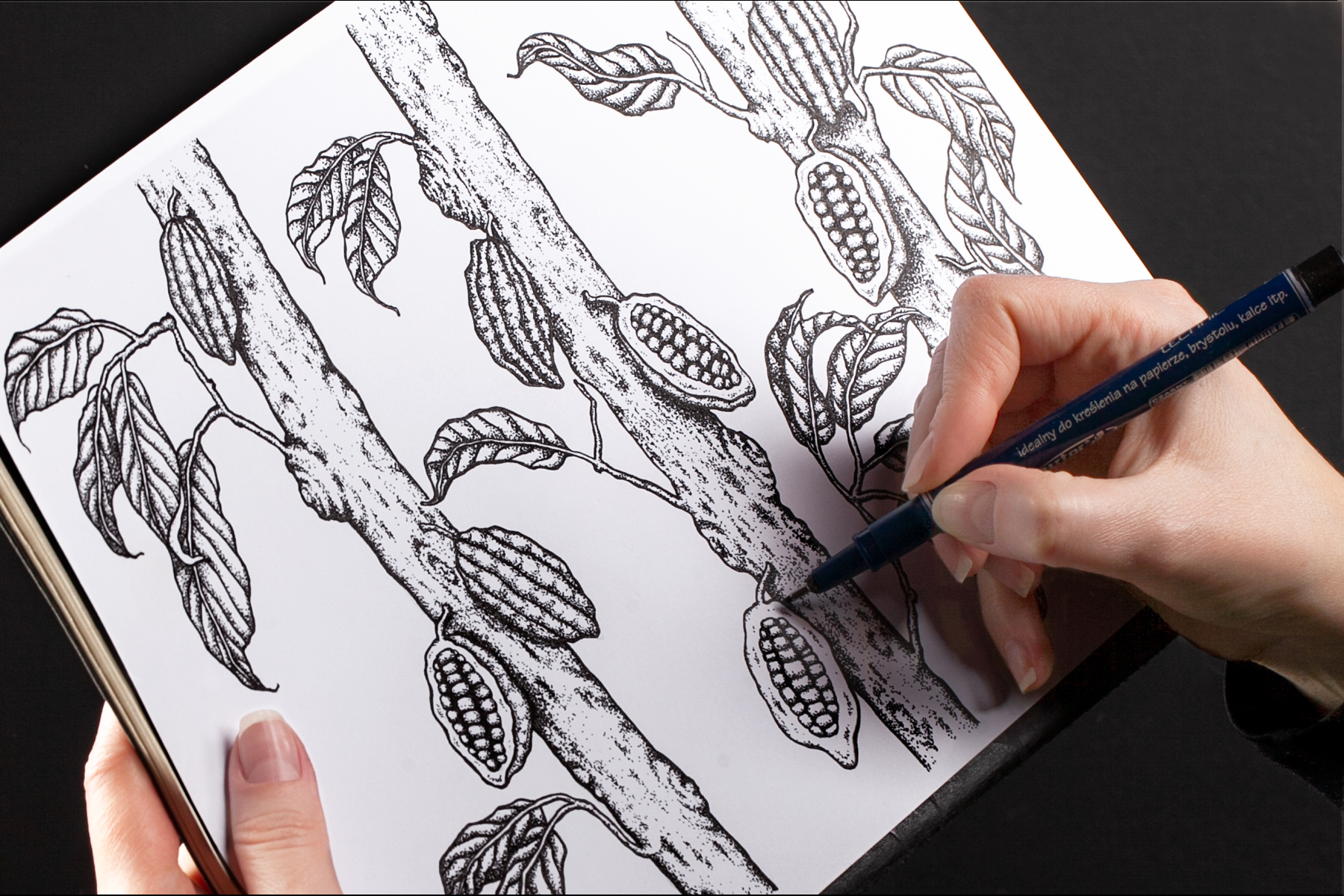 黑巧克力包裝設計(圖11)