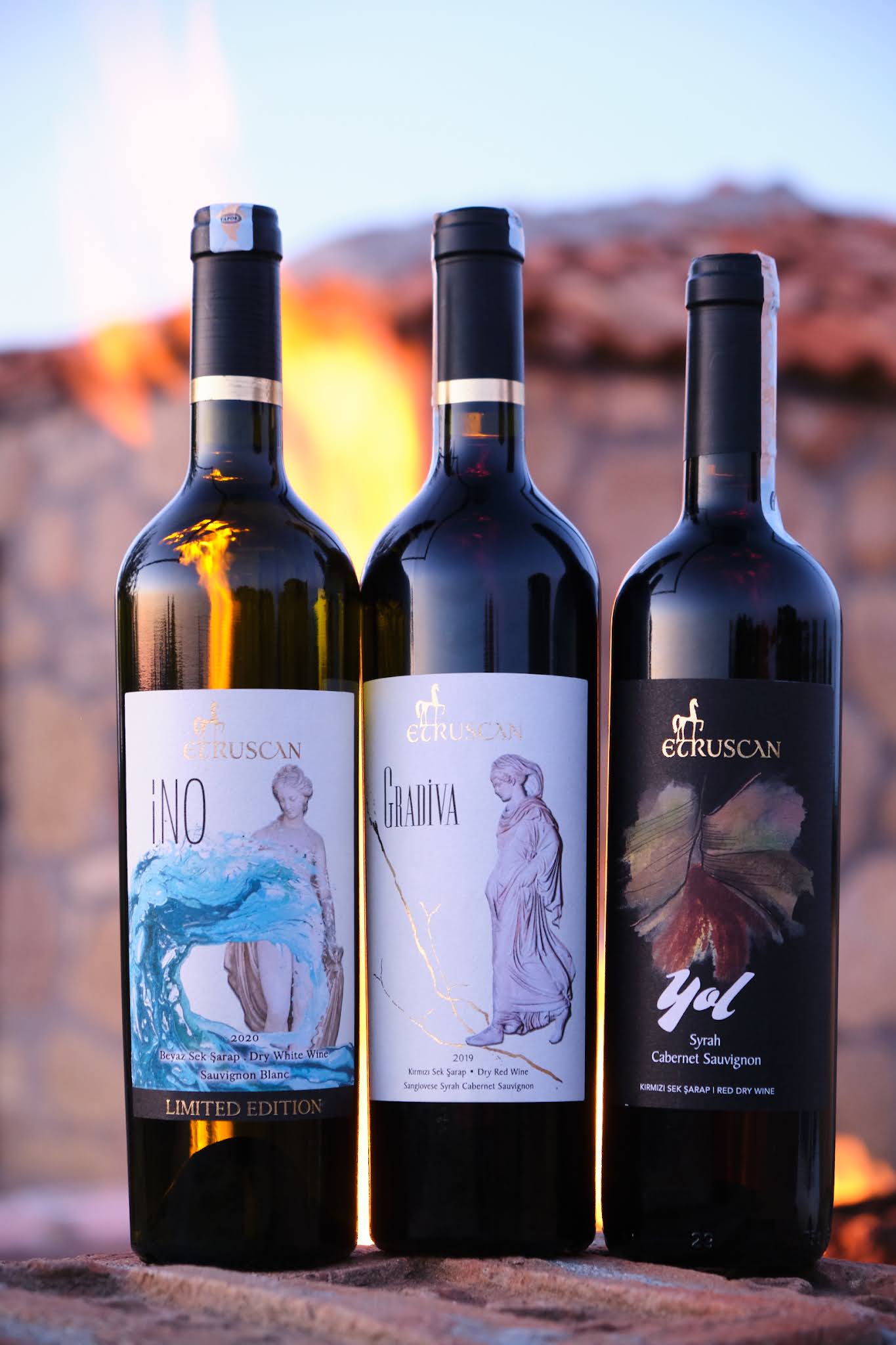 葡萄酒包裝設(shè)計簡約奢華(圖3)