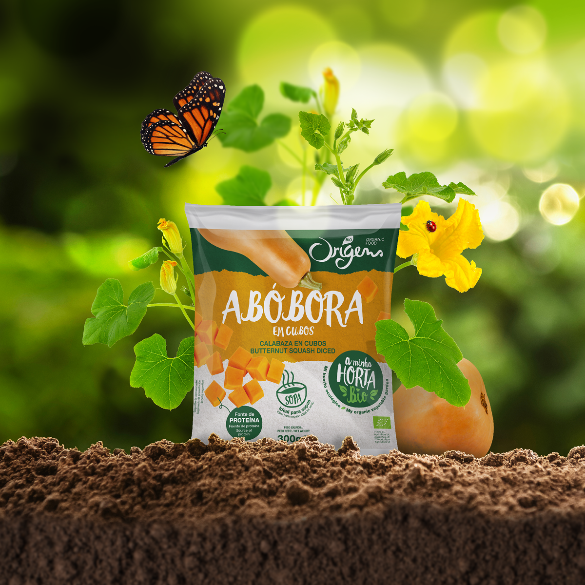 冷凍有機(jī)蔬菜包裝設(shè)計(jì)(圖1) 冷凍有機(jī)蔬菜包裝設(shè)計(jì)(圖1)