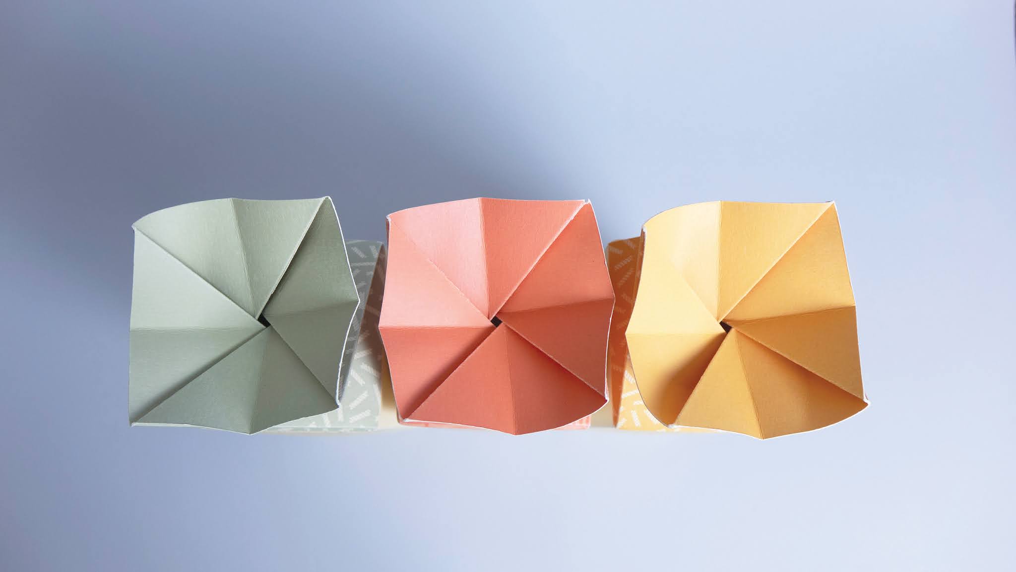 手工面條包裝設(shè)計(jì)(圖5)