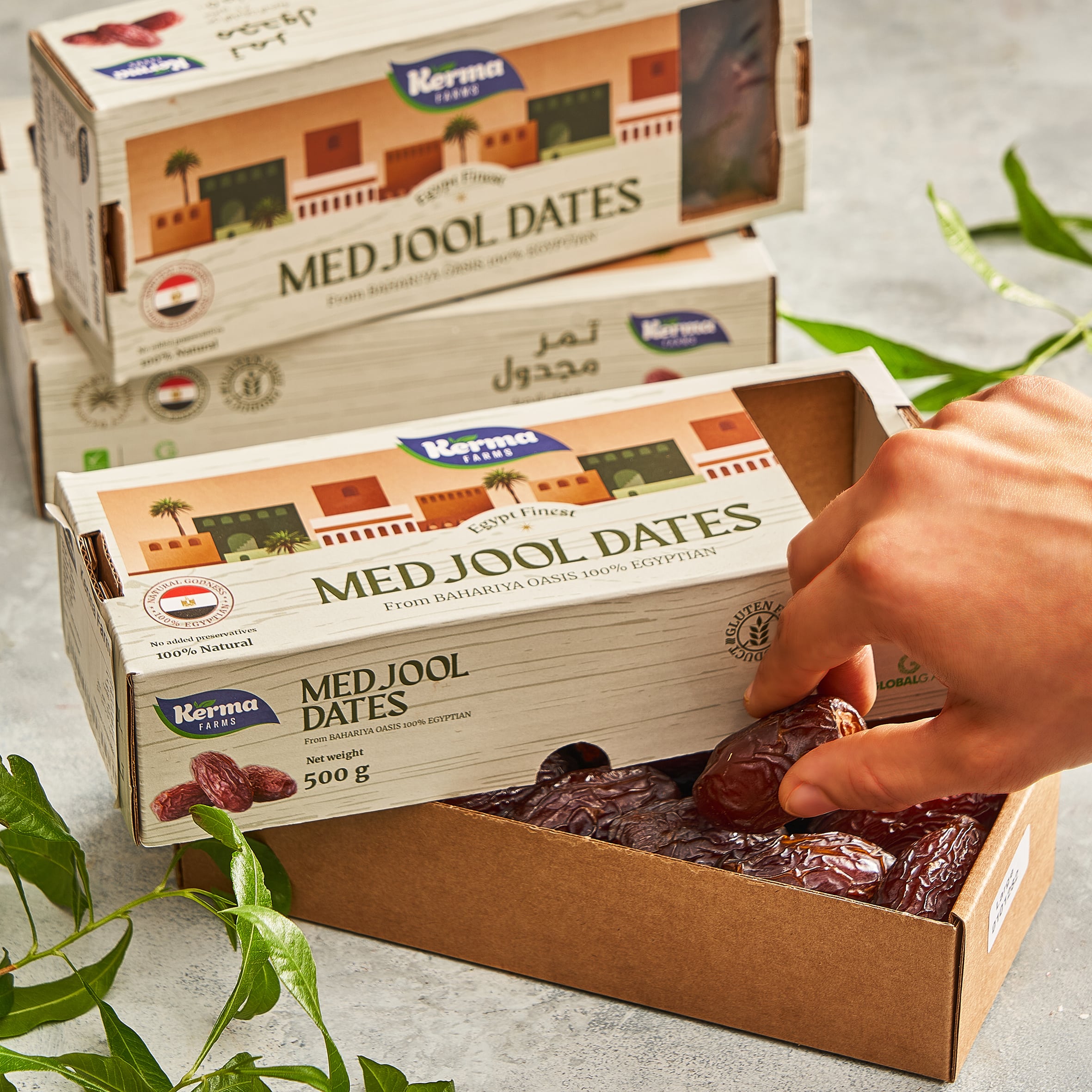 MEDJOOL DATES椰棗食品包裝設(shè)計(jì)(圖4)