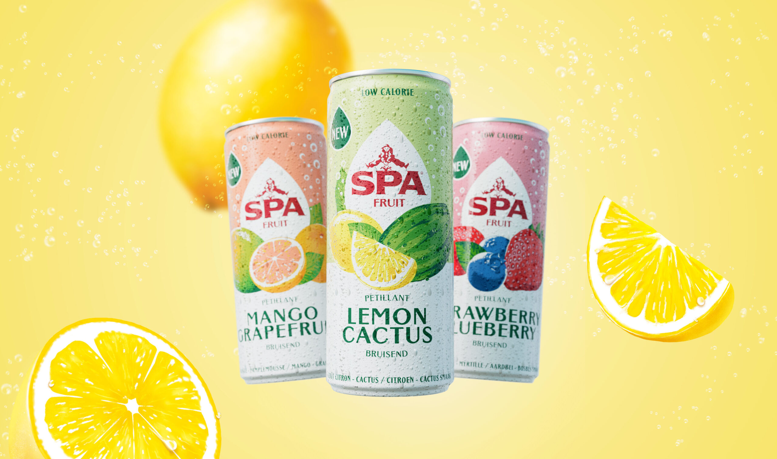 SPA純凈水品牌視覺(jué)包裝設(shè)計(jì)參考(圖10)