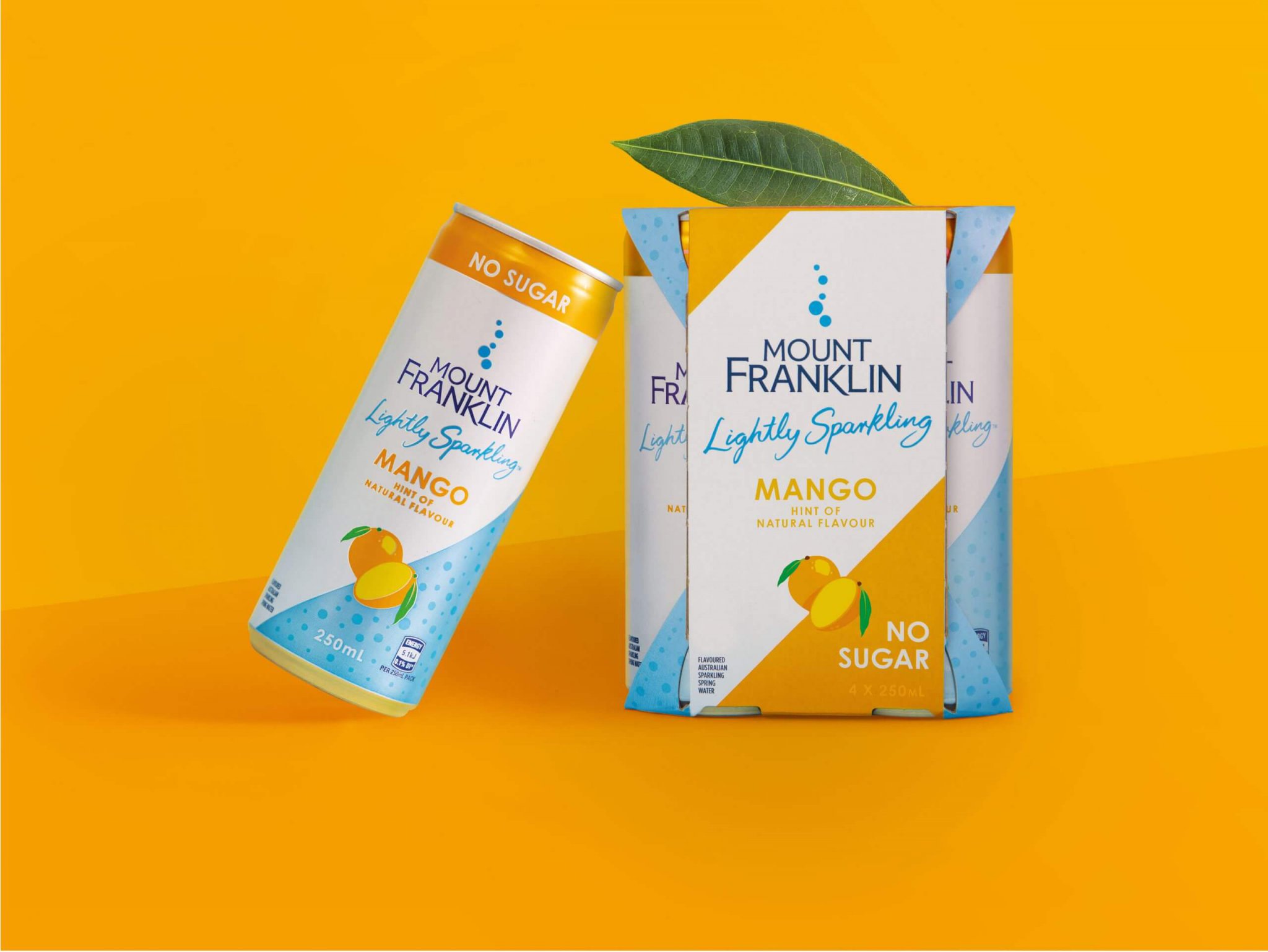 灌裝精釀啤酒飲料視覺包裝設(shè)計(jì)參考(圖7)