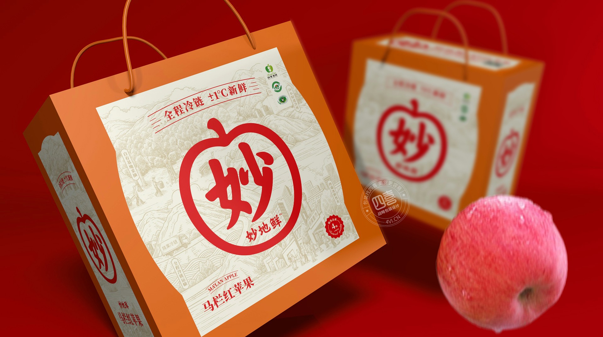 天水水果特產(chǎn)花牛蘋果包裝如何設(shè)計(jì)更好(圖3)