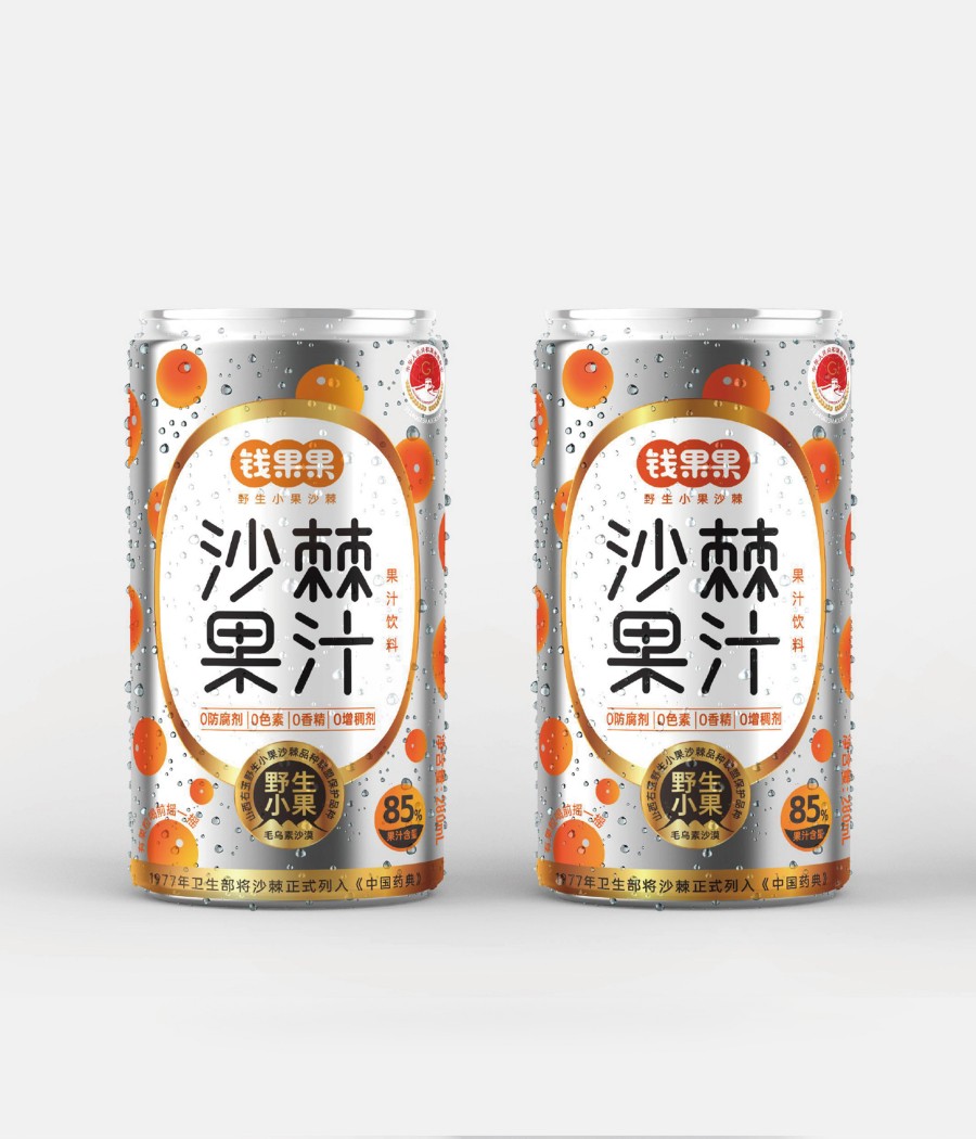 錢(qián)果果野生小果沙棘品牌包裝策劃設(shè)計(jì)(圖4)