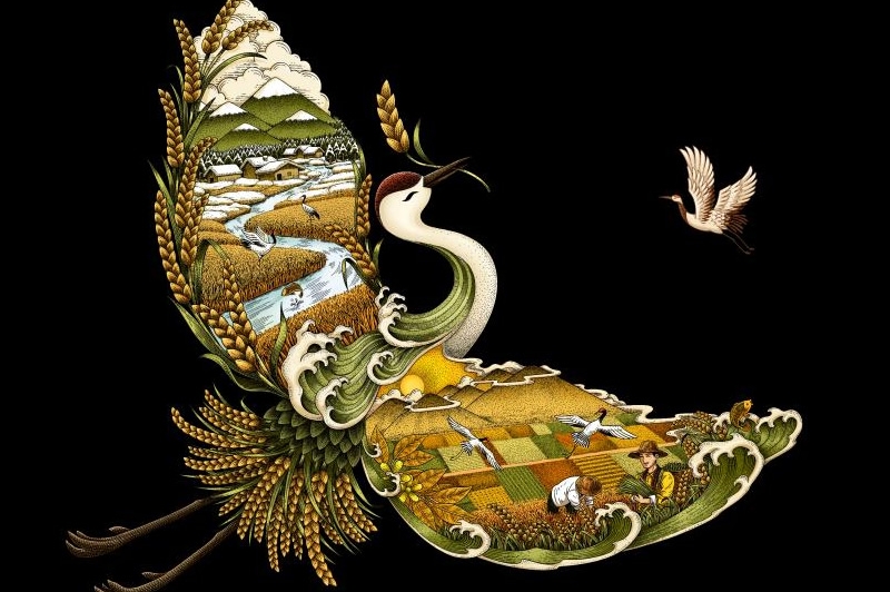 四喜如何通過包裝設計，讓金鶴黑珍珠大米彰顯高端定位