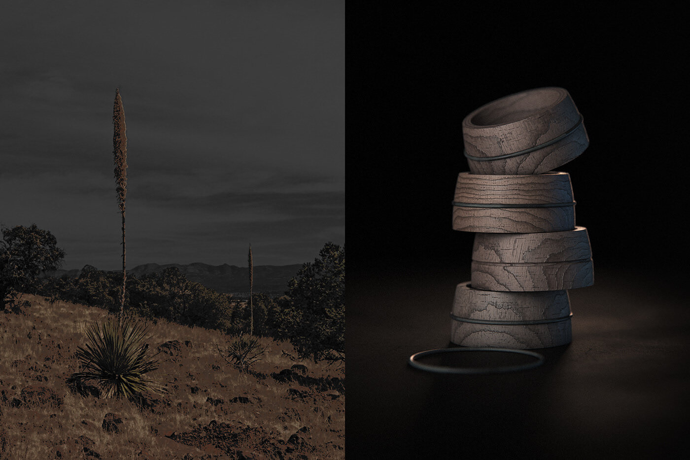 高端酒包裝設(shè)計參考(圖3)