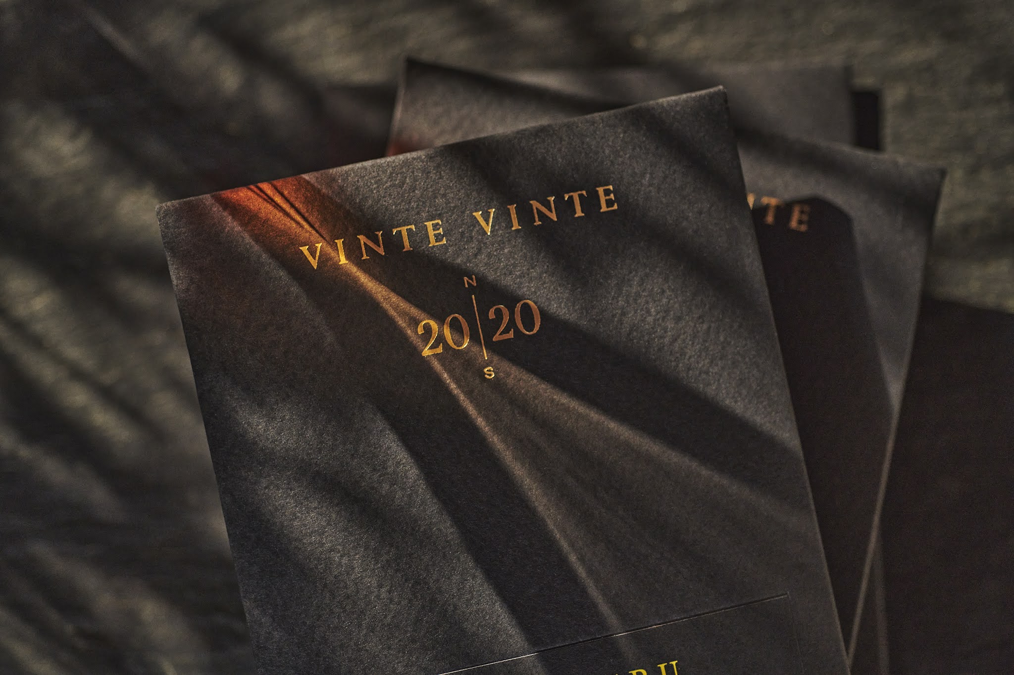 精致的巧克力食品包裝設計(圖22)