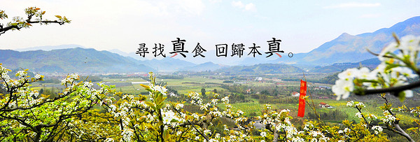 真食約定品牌故事-logo設計分析(圖2)