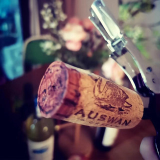 創(chuàng)意酒包裝設(shè)計天鵝莊一號西拉干紅葡萄酒瓶禮盒裝產(chǎn)品包裝設(shè)計欣賞(圖6)