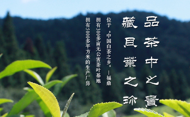 品貝品牌logo與產(chǎn)品包裝設(shè)計(jì)欣賞(圖2)