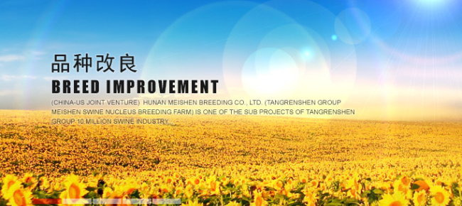 唐人神 TRS唐人神品牌logo與產品包裝設計欣賞(圖3)