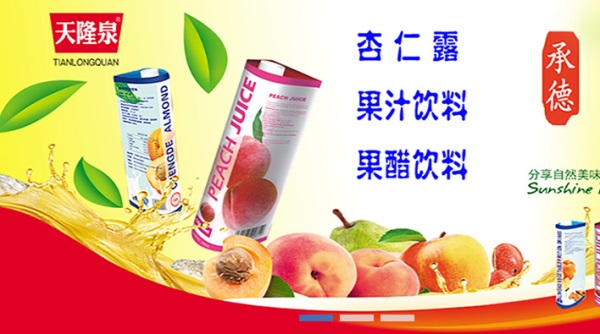 天隆泉品牌logo與產(chǎn)品包裝設(shè)計(jì)欣賞(圖4)