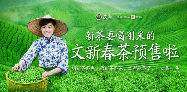 信陽(yáng)毛尖品牌logo與產(chǎn)品包裝設(shè)計(jì)欣賞(圖2)