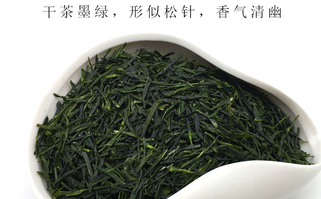 新林玉露蒸青綠茶 新林玉露品牌logo與產(chǎn)品包裝設(shè)計(jì)欣賞(圖3)