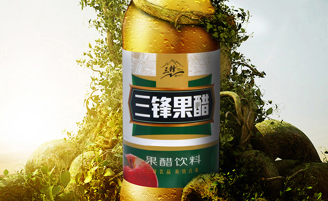 三鋒品牌logo與食品包裝設(shè)計(jì)欣賞(圖4)