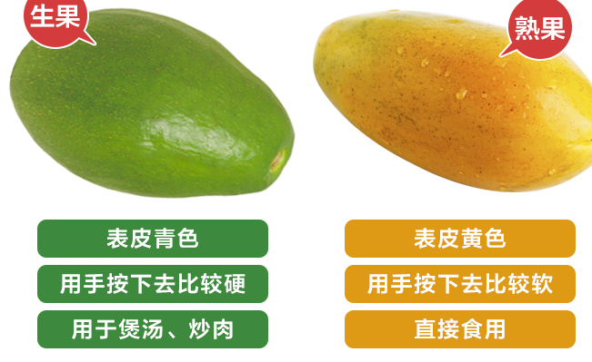 JOYTREE歡樂果園品牌logo與食品包裝設(shè)計欣賞(圖3)