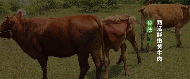 呂長明品牌logo與食品包裝設計欣賞(圖3)