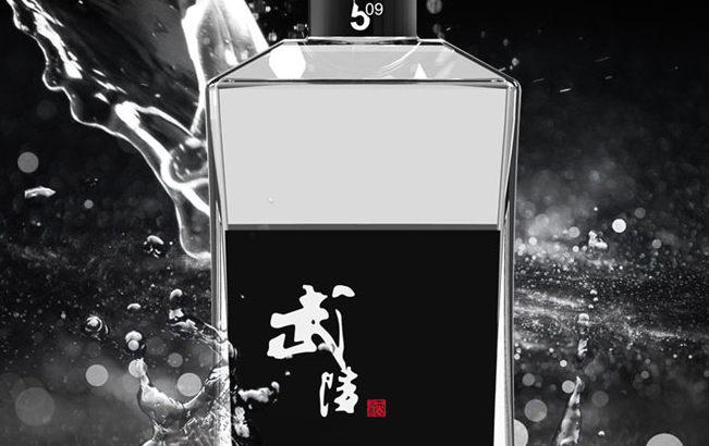 武陵品牌logo與食品包裝設(shè)計欣賞(圖2)