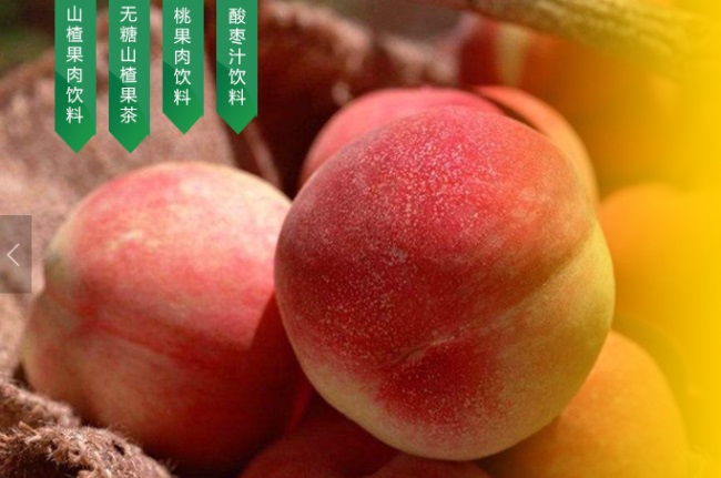 青松嶺品牌logo與食品包裝設(shè)計欣賞(圖4)