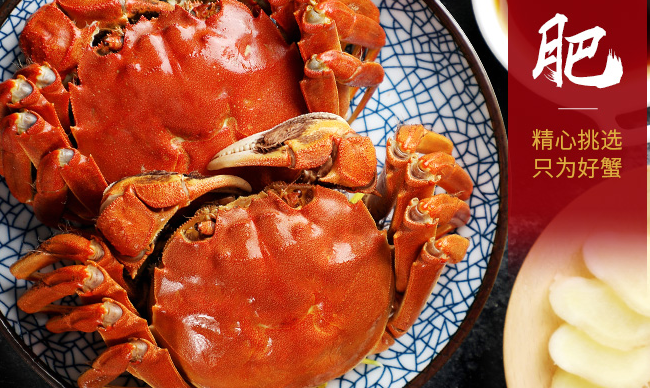 谷源道品牌logo與食品包裝設(shè)計(jì)欣賞(圖4)