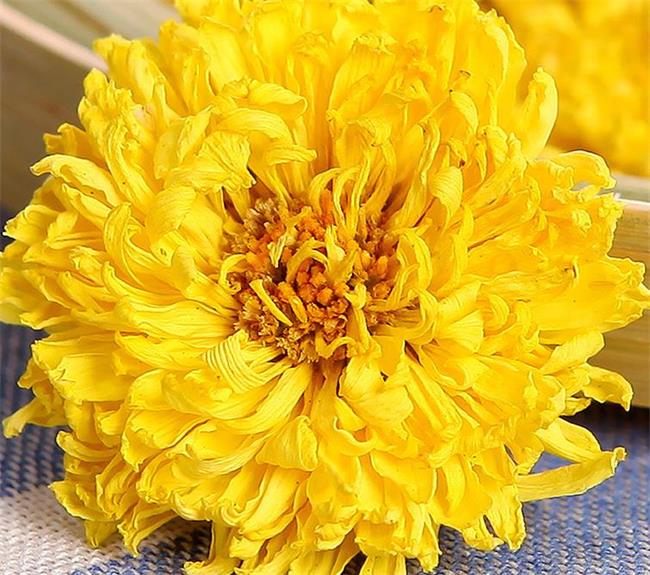 花依舊品牌logo與食品包裝設(shè)計(jì)欣賞(圖4)