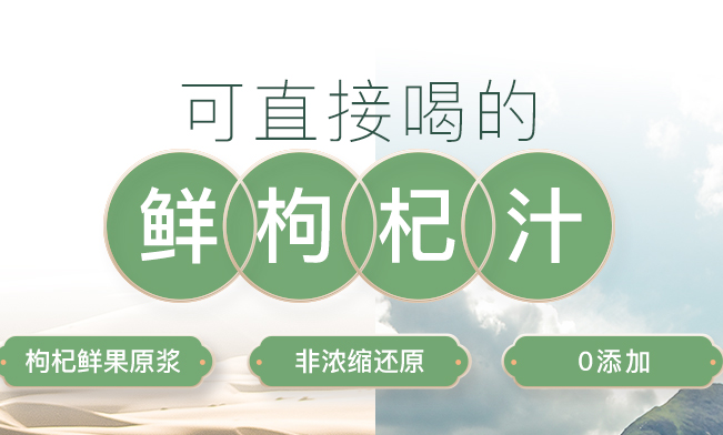 大漠紅品牌logo與食品包裝設(shè)計欣賞(圖4)