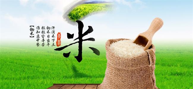 益華米業(yè)品牌logo與食品包裝設(shè)計欣賞(圖2)
