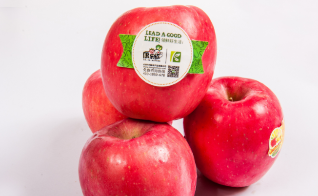 康樂(lè)欣品牌logo與食品包裝設(shè)計(jì)欣賞(圖2)