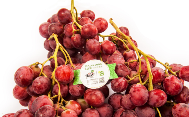 康樂(lè)欣品牌logo與食品包裝設(shè)計(jì)欣賞(圖3)