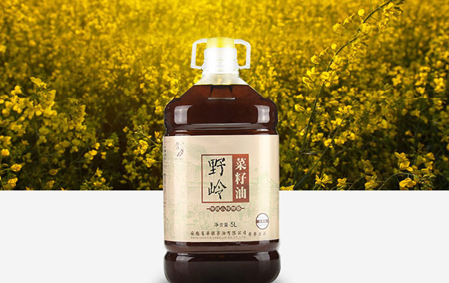 野嶺品牌logo與食品包裝設(shè)計(jì)欣賞(圖4)