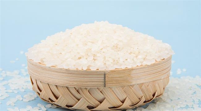 莊品健品牌logo與食品包裝設(shè)計(jì)欣賞(圖4)