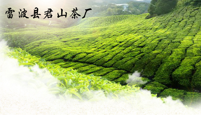 黃瑯雪芽品牌logo與食品包裝設(shè)計(jì)欣賞(圖3)