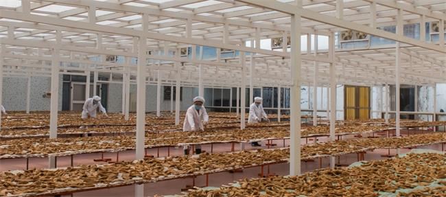 藍(lán)天果蔬 藍(lán)天果蔬品牌logo與食品包裝設(shè)計欣賞(圖4)