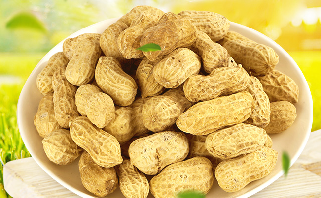 含羞草 含羞草品牌logo與食品包裝設(shè)計(jì)欣賞(圖4)