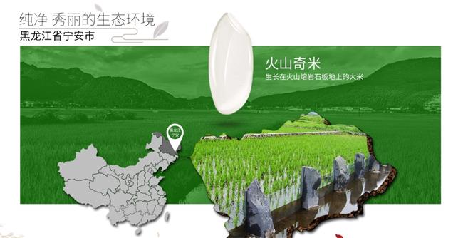 響水大米品牌logo與食品包裝設(shè)計(jì)欣賞(圖3)